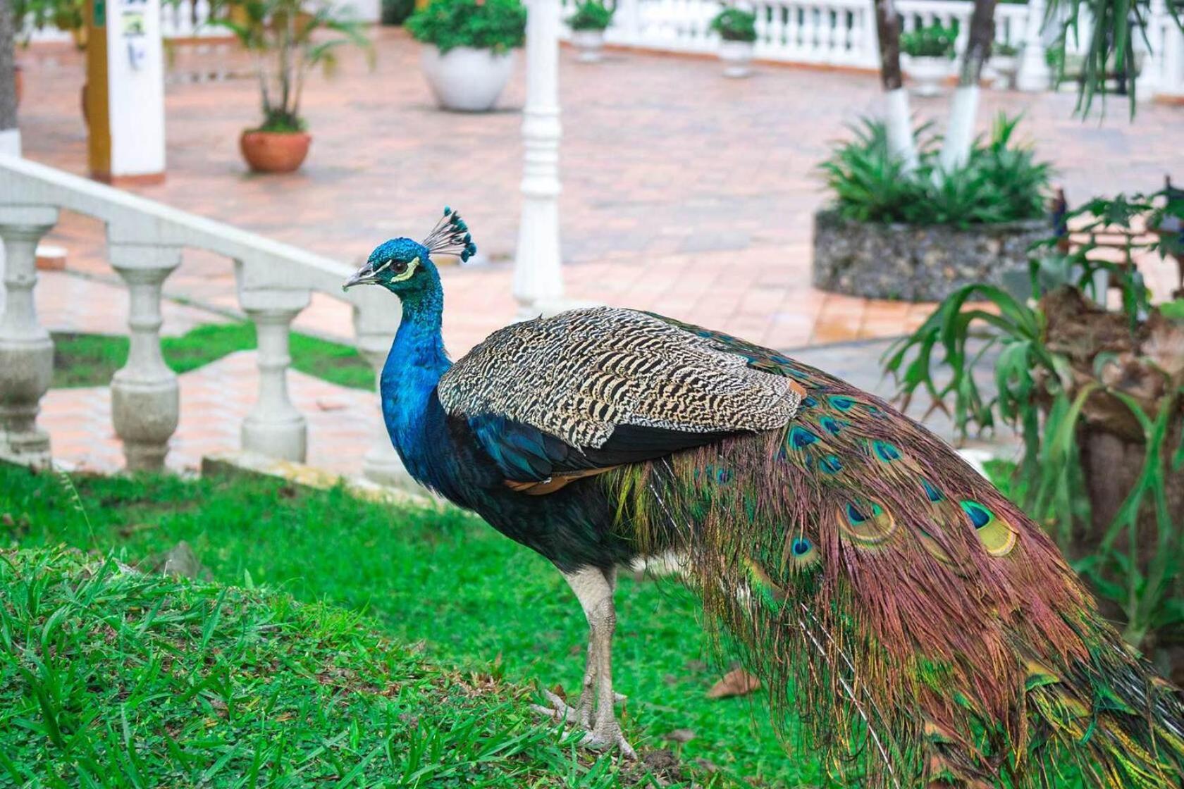 Hotel Posada San Sebastian San Jerónimo Екстериор снимка